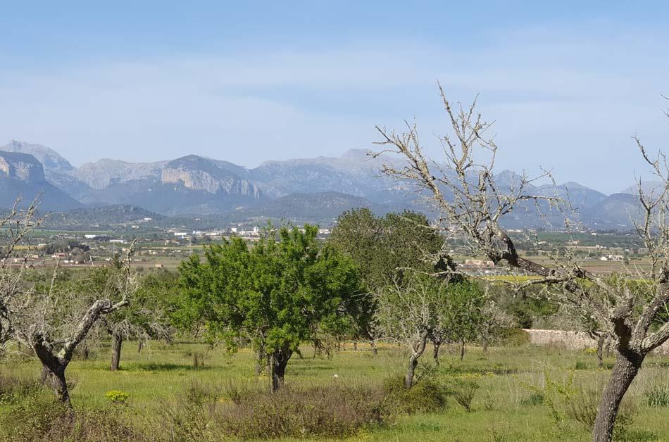 wunderschoene-neubau-finca-mit-atemberaubendem-blick-auf-die-berge-2551-8